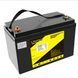 Аккумулятор LiFePO4, LiitoKala, 12V 100Ah, BMS smart плата 9311 фото 1