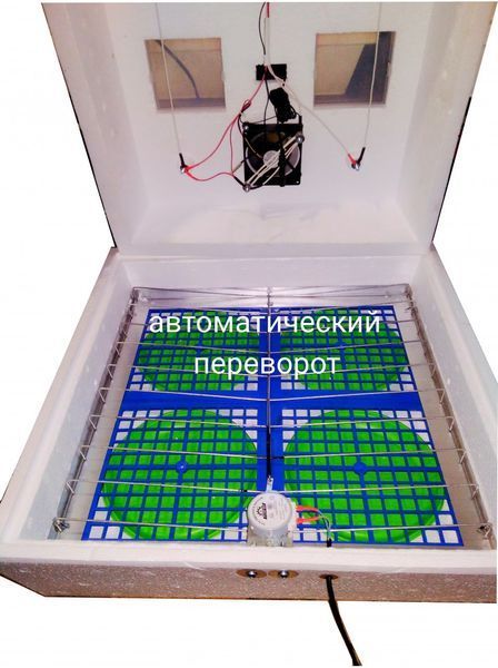 Інкубатор для яєць Квочка ІБ-120(72),живлення 12В,автоматичний переворот,цифровий,вентилятор,ТЕН Наседка ИБ-120(72) фото