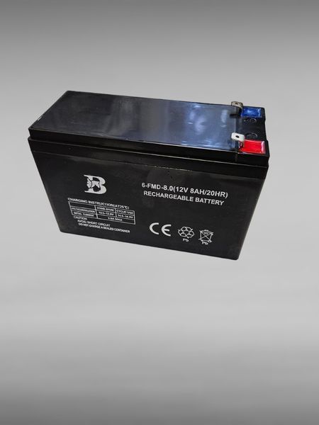 Аккумулятор для опрыскивателя 12V/8AH 2794 фото