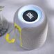 Bluetooth колонка TG655 з RGB підсвічуванням, FM-радіо, speakerphone, 25 Вт, Grey 9965 фото 5